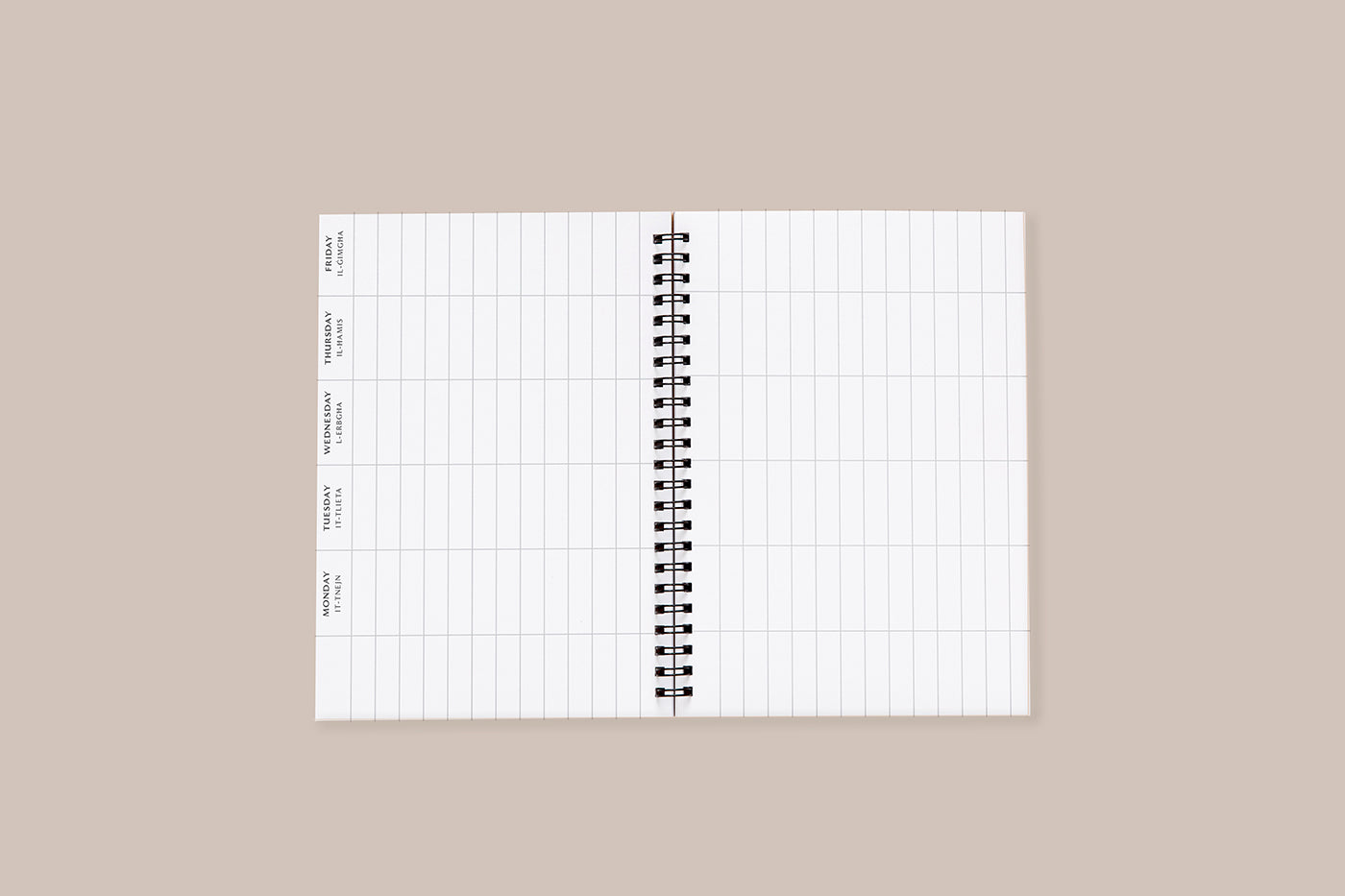 2023/2024 Scholastic Spiral Diary